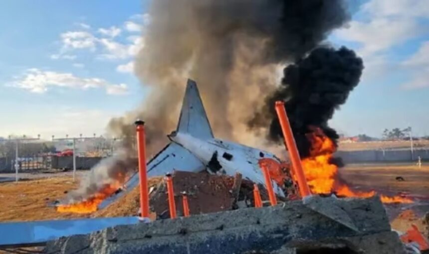South Korea : पलक झपकते ही आग का गोला बना विमान, हादसे में अब तक 177 लोगों की मौत, देखें VIDEO....